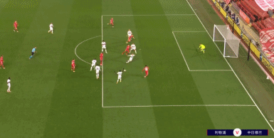 “帅白龙”罗超连克四强，豪取全国自由搏击锦标赛冠军！